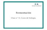 fermentacion  examen.pdf