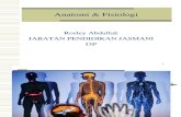 Pengenalan Anatomi Dan Fisiologi 2