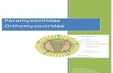 Paramyxoviridae TEXTO