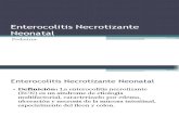 13 - Enterocolitis Necrotizante Neonatal
