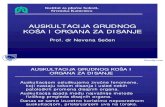 Auskultacija Grudnog Kosa i Organa Za Disanje-Slajdovi-Pulmologija-Medicina PDF