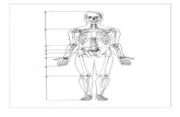 Gambar laporan anatomi