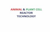 Animal and Plant Cell Reactor Technology