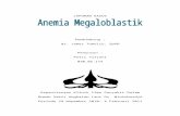 95535866 Anemia Megaloblastik