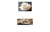 Minerales Formadores de Rocas Igneas y Rocassss Fotoss