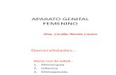 6aparato Genital Femenino