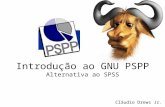 Introdução Ao GNU PSPP