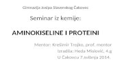 Aminokiseline i Proteini