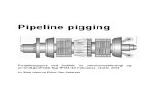 Pipeline Pigging