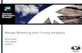 Tuning Analysis and Wedge Modelling
