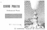 Cerro Prieto - Underground Power-120