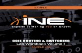 Ccie Routing Switching Volume 1 Sample