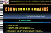 2. CROMOSOMAS UNFV