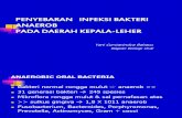 Penyebaran Infeksi Bakteri Anaerob