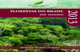 Florestas Do Brasil Em Resumo Atualizado