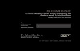 SCM650 - Cross-Functional Customizing SD
