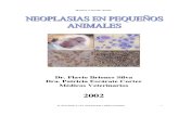 Neoplasias en Pequenos Animales