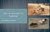 Powerpoint - The Use of Animals in Fighting