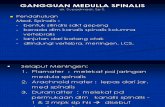 Gangguan Medulla Spinalis (1)