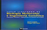 Texto Ilustrado de Biolog a Molecular e Ingenier a Gen Tica Con Ceptos t Cnicas y Aplicaciones en Ciencias de La Salud