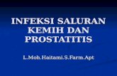 Infeksi Saluran Kemih Dan Prostatitis