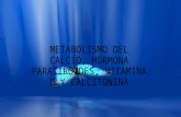 Metabolismo Del Calcio, Hormona Paratiroides, Vitamina (1)