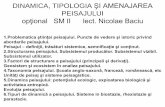Dinamica Tipologia Si Amenajarea Peisajului SM II Optional 2 2013