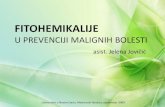 Jelena Jovicic_Fitohemikalije u Prevenciji Malignih Bolesti_2009