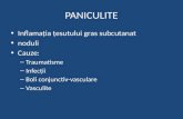 Curs St. Vasculite, Paniculite
