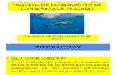 Conservas de Pescados - Jose Torres