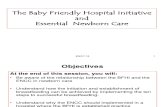 2 the Baby Friendly Hospital Initiative Final 2