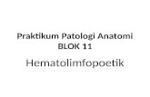 Praktikum Patologi Anatomi Blok 11 (1)