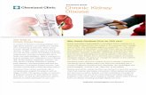 Chronic Kidney Disease Guide