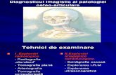 CURSUL VI CUM Diagnosticul Imagistic Al Patologiei Osteo-Articulare.