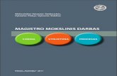 MAGISTRO MOKLSINIS DARBAS - Forma, struktūra, procesas