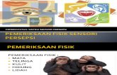Pemeriksaan Fisik Sensori Persepsi Jafar 2012