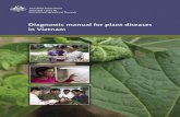 Diagnostic Manual for Plant Diseases in Viet 13726