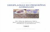 Neoplasias en Pequeños Animales