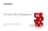 Deloitte-Risk Management Presentation- BHEL IOM February 2014