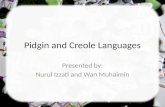 Sociolinguistics - Pidgin and Creole Languages