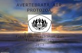 Ppt Avertebrata Air