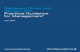 SOX Section 404 Practical Guidance for Management