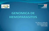 Clase Genomica Hemoparasitos 2011
