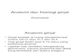 Anatomi Dan Fisiologi Ginjal. file