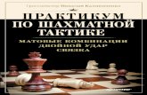 Практикум по шахматной тактике, матовые комбинации, двойной удар, связка