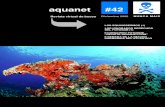 Aquanet 42