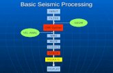 Seismic Reflection Processing Pre-Stack (1)