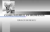 206778345 Comunismul in Romania