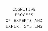 Cognitive Process of Experts and Expert Systems