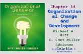 organisational change &development